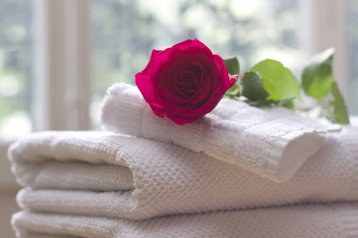 Rose and towel prepared for massage treatment